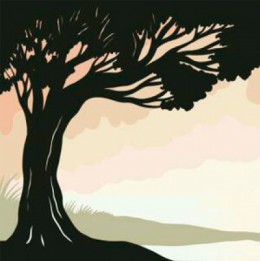 Key Secure Act Impacts to Know for 2020