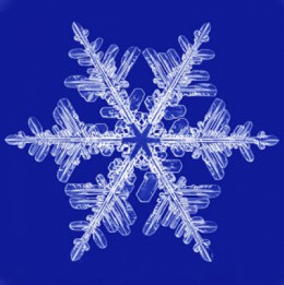 10 Fun Facts About Snow