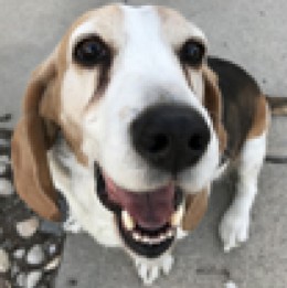 These Furry Friends photos are adorable! Post yours today!