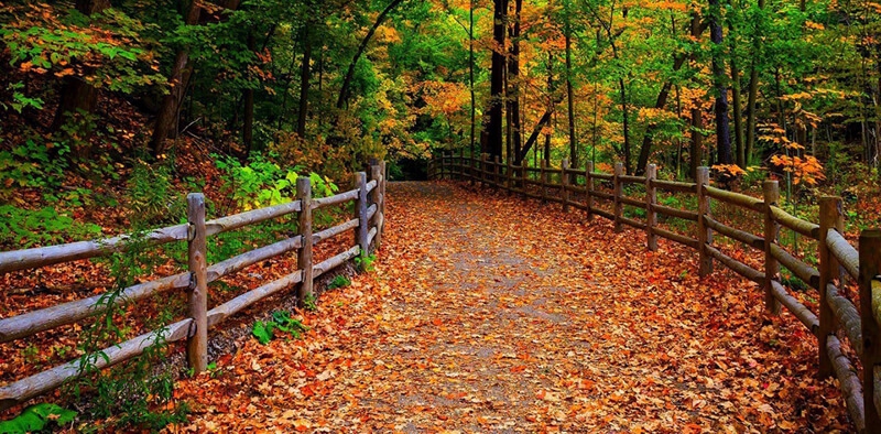 Have You Thought About Retirement Planning?