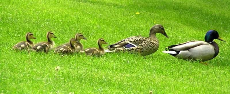 What to Bring to an Estate Planning Consultation with our Team