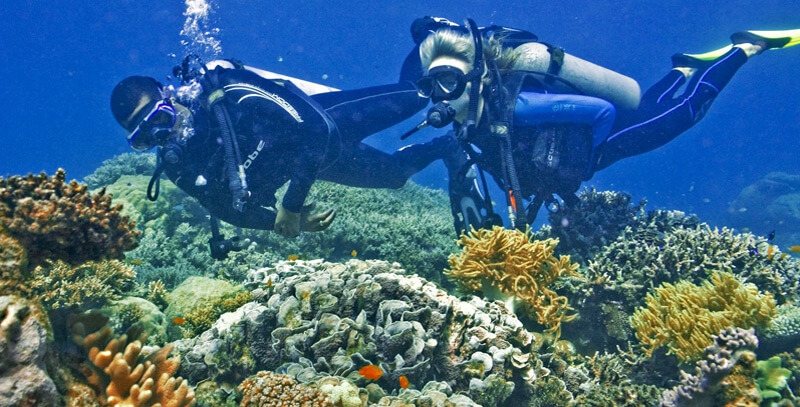 Announcing The New Visa Signature Travel Credit Card!