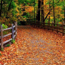 Have You Thought About Retirement Planning?